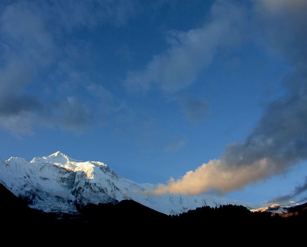 https://discoverhimalayanepal.com/tour/annapurna-north-base-camp-trek
