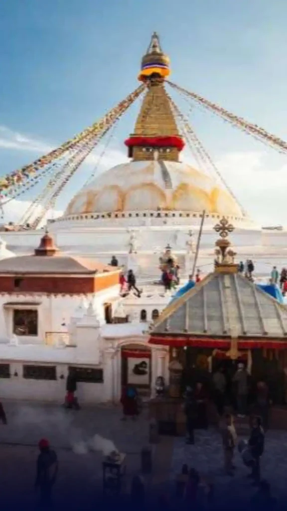 Hairy Yak Adventures