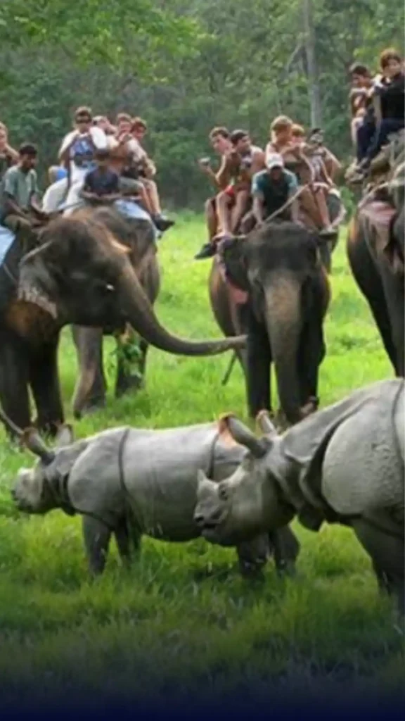 Hairy Yak Adventures